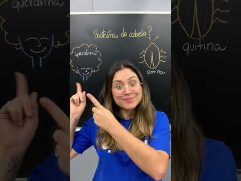 Vídeo: Onde está presente a quitina?