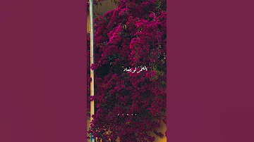 آني بالدنيا وحيدك العمر لو ينعاد اريدك حالات اغاني ستوريات 