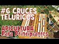 🐝 🐝 Cruces Telúricos en apicultura. Radiestesia