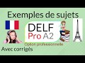 DELF Pro A2 - Exemples de sujets - compréhension de l'oral, compréhension des écrits