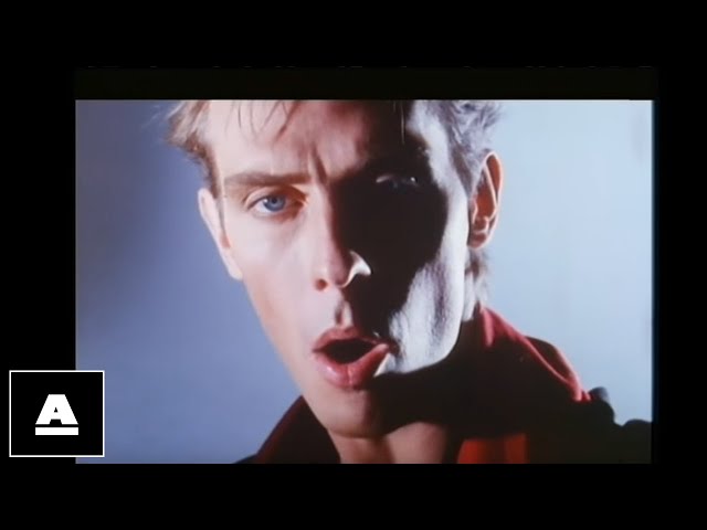 Peter Murphy - Final Solution