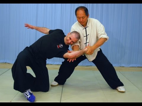 YMAA Taiji Applications (Yang taijiquan) tai chi fighting!