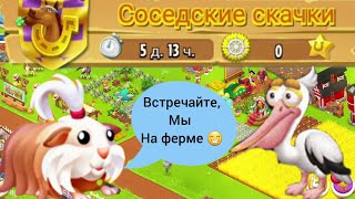 Hay Day# Хэй Дэй#53 Новый 75 уровень. Скачки. Покупка 3-х морских свинок и 1-го пеликана.