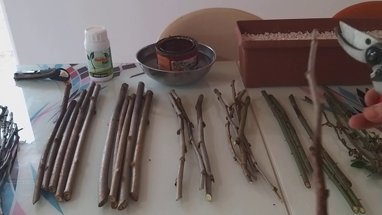 Çelikten köklendirme 15 çeşit