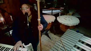 HAS ANYBODY SEEN MY Washtub Bass GAL solo, + Keyboard + vocals + vibes? Indeed! screenshot 1