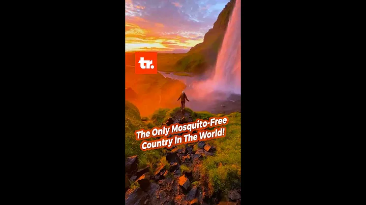 This Is The Only Mosquito Free Country In The World!