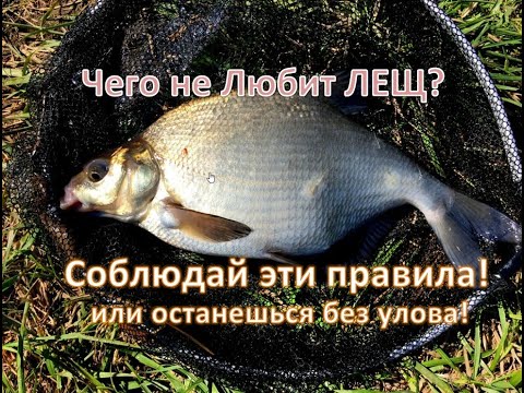 ЧЕГО не ЛЮБИТ ЛЕЩ? ( соблюдайте Эти Правила!!!)