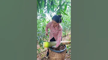 This Year S Bamboo Shoots Are Pitifully Scarce Farming Satisfying 