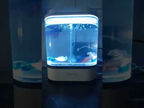 Акваферма Xiaomi Geometry Mini Lazy Fish