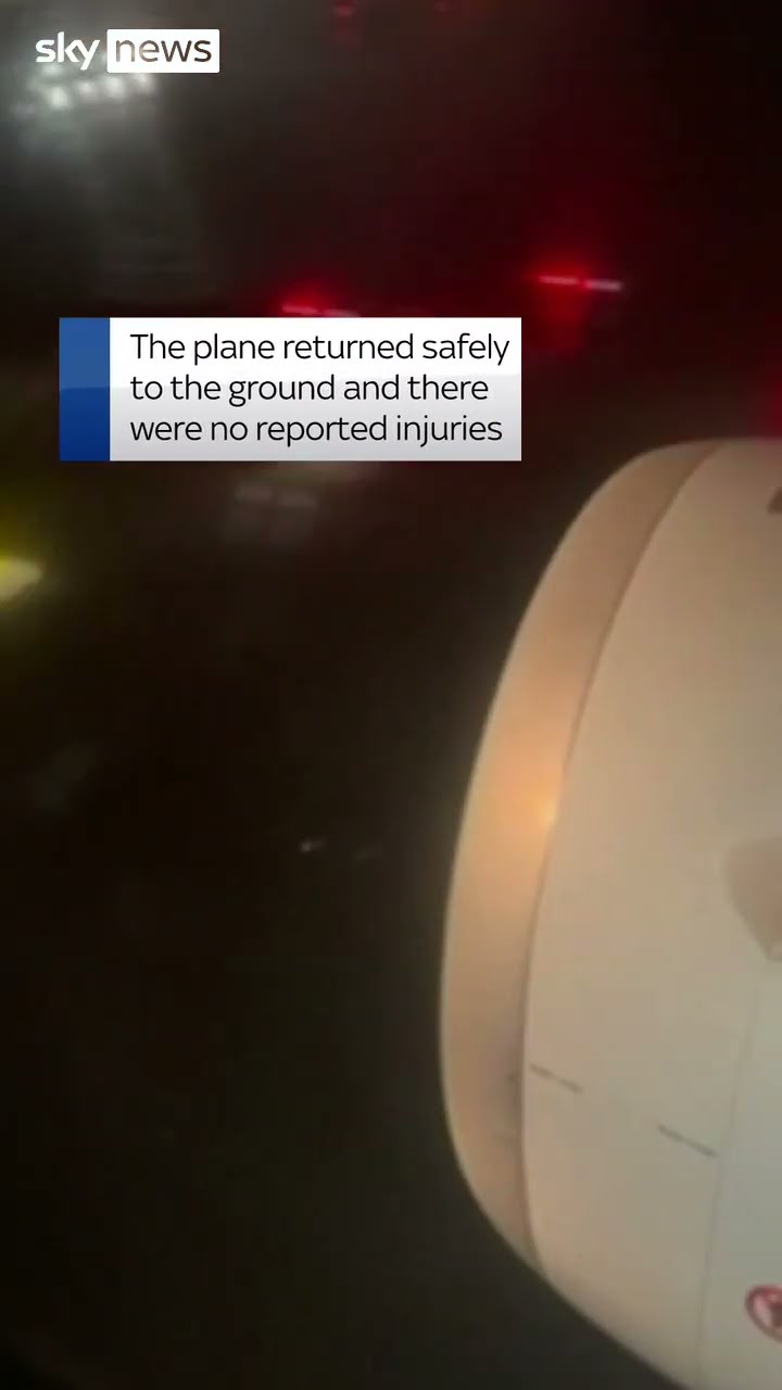 Probable bird strike just after take off