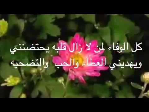 اعتذار لكل من أخطأت بحقه Youtube