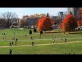 Why Do You Love Virginia Tech?