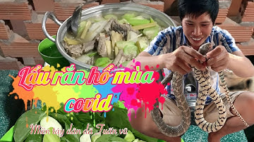 Đặc sản miền tây - nấu lẩu rắn hầm sả ăn với rau nhà lá vườn  - lai rai xị rượu đế