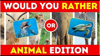 Animal Edition: Would You Rather?... Choose Between A Dog, Cat, Panda, Elephant Or Snake? ‍