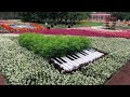 Survival Masters spielen Beethoven in den Herrenhäuser Gärten / lustigstes Video ever