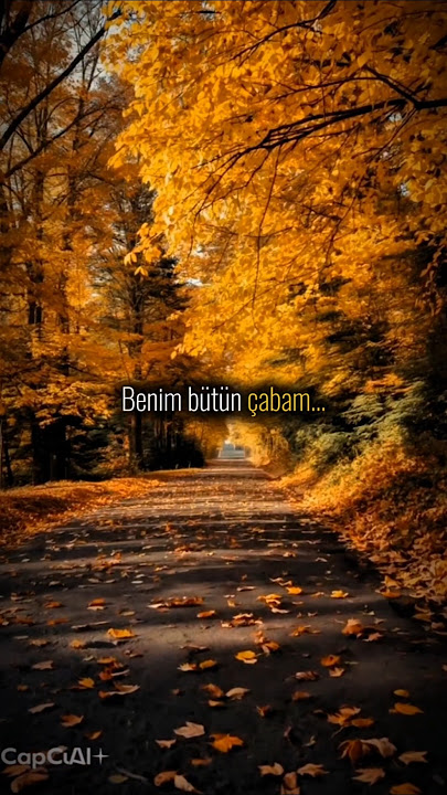 Kimseye muhtaç olmadan yaşamaktır.. #shortsfeed #motivasyonsözü#söz#motivasyon#keşfet#anlamlısözler