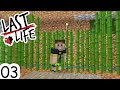 Minecraft Last Life SMP | Ep 03 - THE GREAT SUGARCANE HEIST!