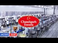 Where India’s Sweet Magic Happens! | Chandigarh Sweets Factory Tour | Sonipat, Haryana