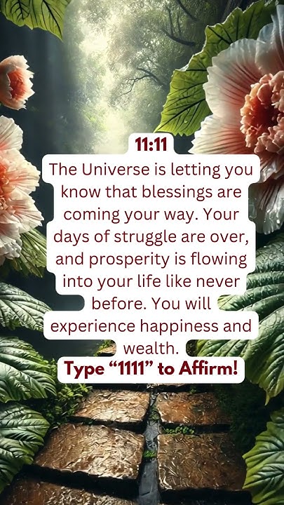 shocking-secrets-of-angel-number-1111-manifest-wealth-and-prosperity
