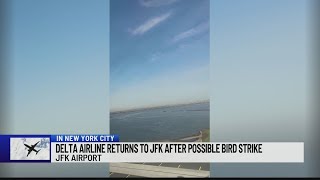 Delta airline returns to JFK after possible bird strike