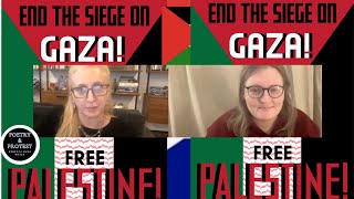 Free Speech The Ihra Definition Palestinian Freedom Rebecca Ruth Gould Lara Friedman 92023