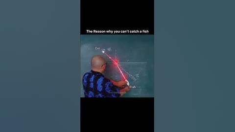 reflection __optics || why you can