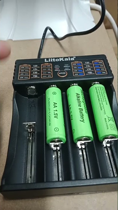 Smart alkaline battery charger