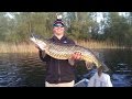 Vissen op snoek met jerkbaits en tubefly's!