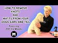 How to remove knots and matts from your dogs ears and tail