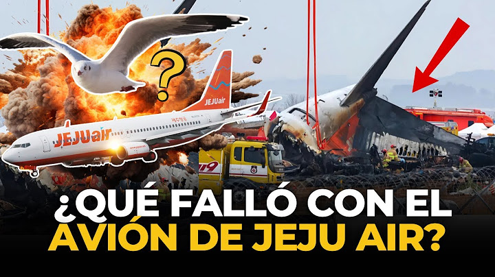 3 TEORÍAS de la TRAGEDIA MORTAL en COREA DEL SUR con el AVIÓN de JEJU AIR | El Comercio