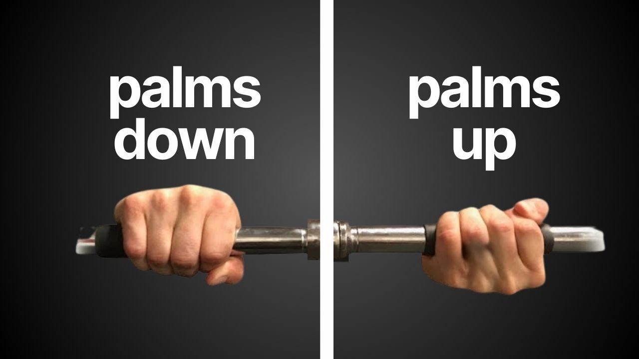 Everyone Gets THIS Wrong About Triceps