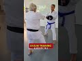 OI-ZUKI TRAINING #shorts #martialarts #selfdefense #karate #shotokan