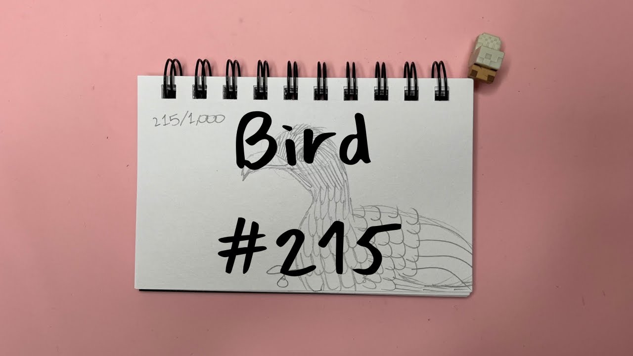 Draw 1,000 Birds With Me Chachalaca 5 of 10 - YouTube