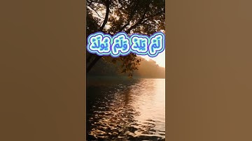 سورة الإخلاص كاملة برواية حفص عن عاصم بصوت القارئ الشيخ صلاح الهاشم