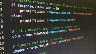 Python 1-dars Net Worth