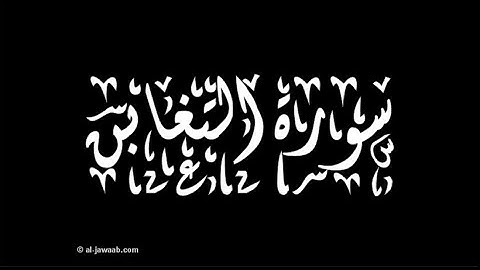 سورة التغابن للشيخ عبد الكريم محمد عثمان