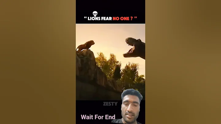 Lions fear no one? Part 02 #animals #lions #animals #trending #wildlife #shorts #ytshorts