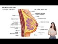 Anatomical Features of the Human Breast (2 Minutes)