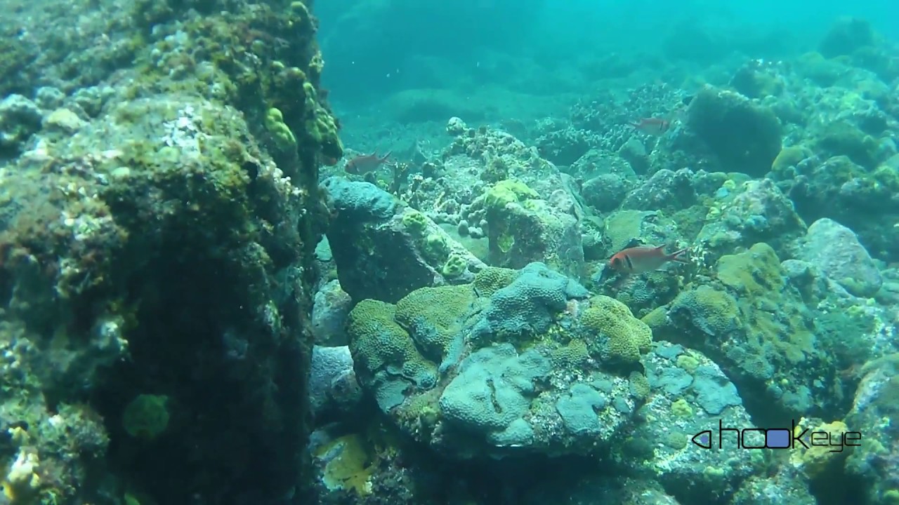 Hook-eye Underwater Camera