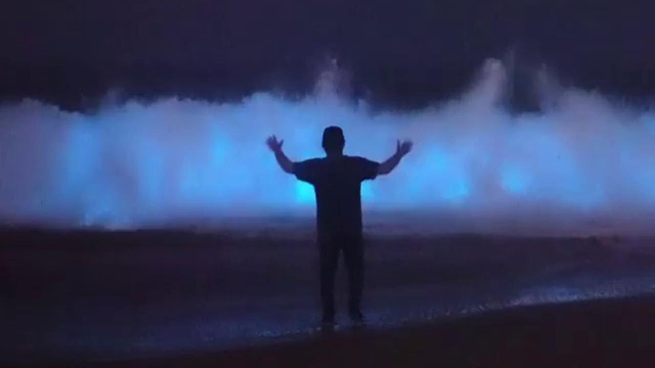 Le onde si rompono sulla battigia e diventano blu, lo spettacolo notturno in California