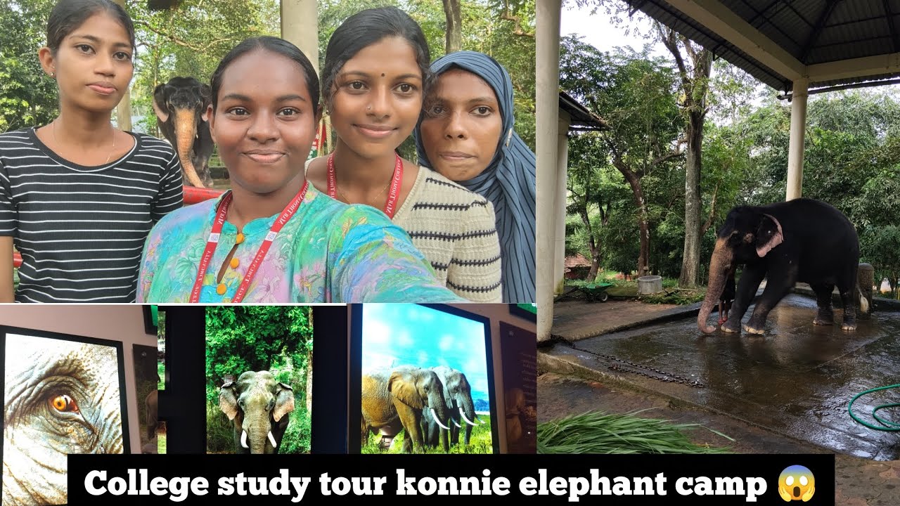 Study tour in my college (1 day trip) 😌💃🏻