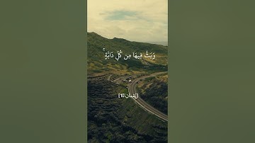 سورة لقمان 🌹هذا خلق الله فأروني ماذا خلق الذين من دونه،القارئ حمادة جودة هلال