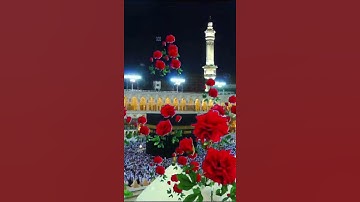القرآن الكريم راحه نفسيه #قران_كريم #تلاوة_خاشعة #عبدالباسط_عبدالصمد #دعاء #اكسبلور #عبدالرحمن_مسعد