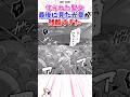 作られた聖女、最後に見た光景が残酷すぎた #漫画 #漫画紹介