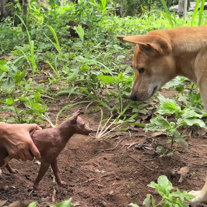 Dog's Reaction to Her Sculpture #dog #sculpture_art