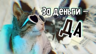 За деньги - Да | КотоВерсия