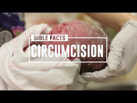 Video: Waarom besnijdenis op de 8e dag?
