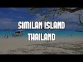 Tropical Island Beach walk 4K in Thailand. Vlog from Similan Island  | Ocean Beach Nature