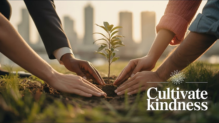 The power of kindness in aworld of choas | Inspirational Short Film