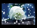 Mirva - Белые розы